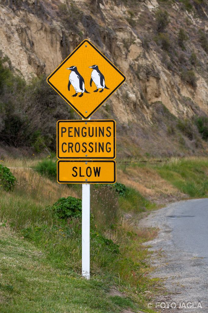 Penguins Crossing Traffic Sign in Oamaru, Penguin Viewing
Neuseeland (Sdinsel)