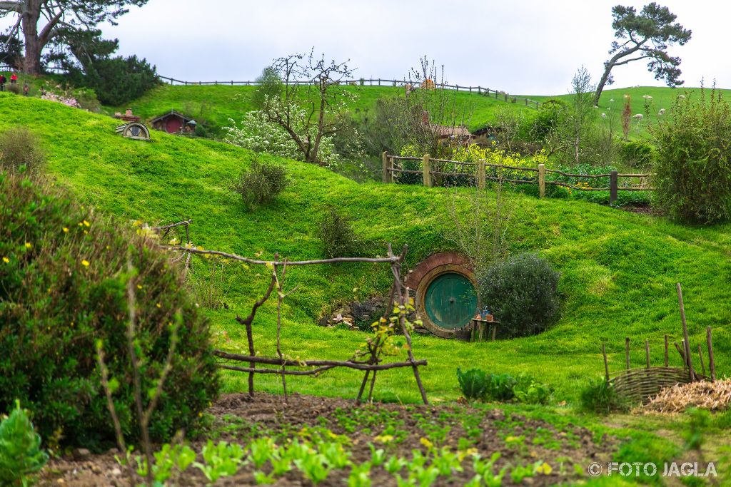 Hobbiton in Matamata
Der Herr der Ringe und der Hobbit Movieset
Neuseeland (Nordinsel)