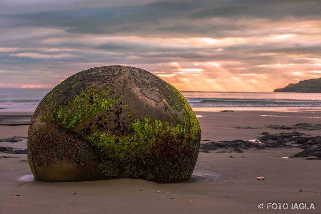 Moeraki Boulders bei Sonnenaufgang am Koekohe Beach an der Kste von Otago
Neuseeland (Sdinsel)