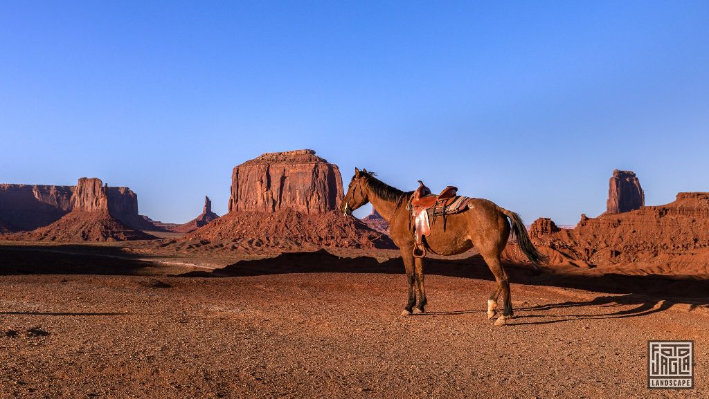 Horse at Monument Valley
Arizona, USA 2019