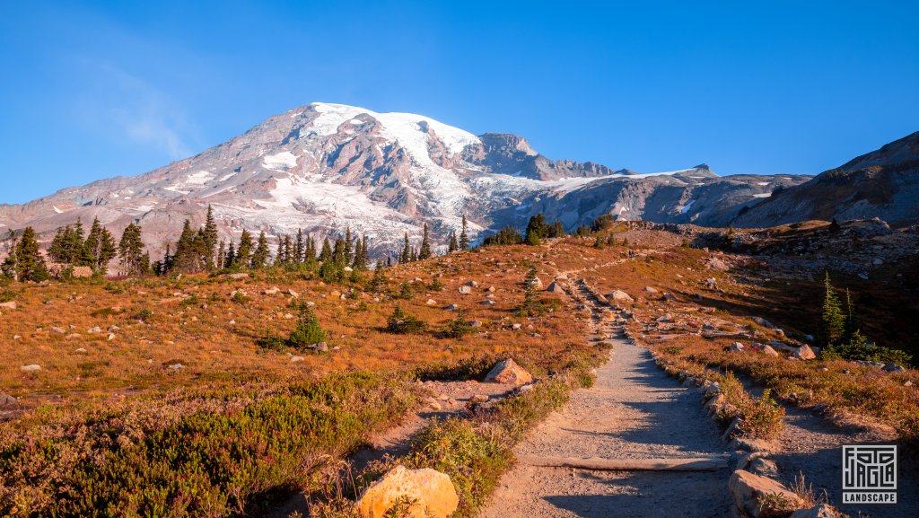 Skyline Trail am Mt Rainier
Mount Rainier National Park
Washington 2022