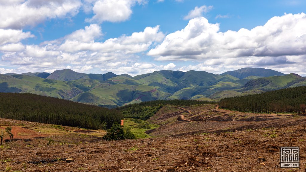 Wunderschne Landschaft am Piggs Peak
Knigreich Eswatini