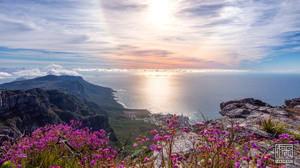 Wunderschne Aussicht zum Sonnenuntergang
Tafelberg in Kapstadt
Sdafrika