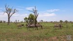 Landschaft Suedafrika