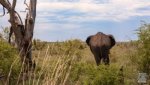 Landschaft Suedafrika