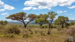 Landschaft Suedafrika