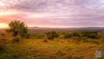 Landschaft Suedafrika