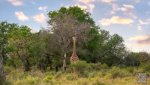 Landschaft Suedafrika