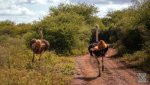 Landschaft Suedafrika