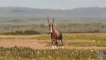 Landschaft Suedafrika