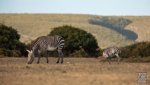 Landschaft Suedafrika