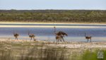 Landschaft Suedafrika