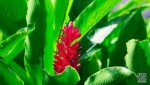 Landschaft Costa Rica