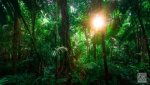 Landschaft Costa Rica