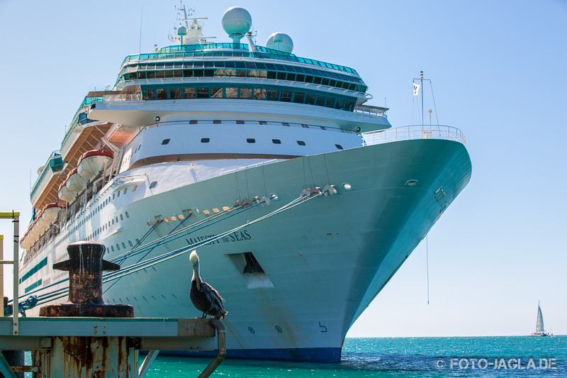 70000 Tons of Metal 2014 - Majesty of the Seas in Key West